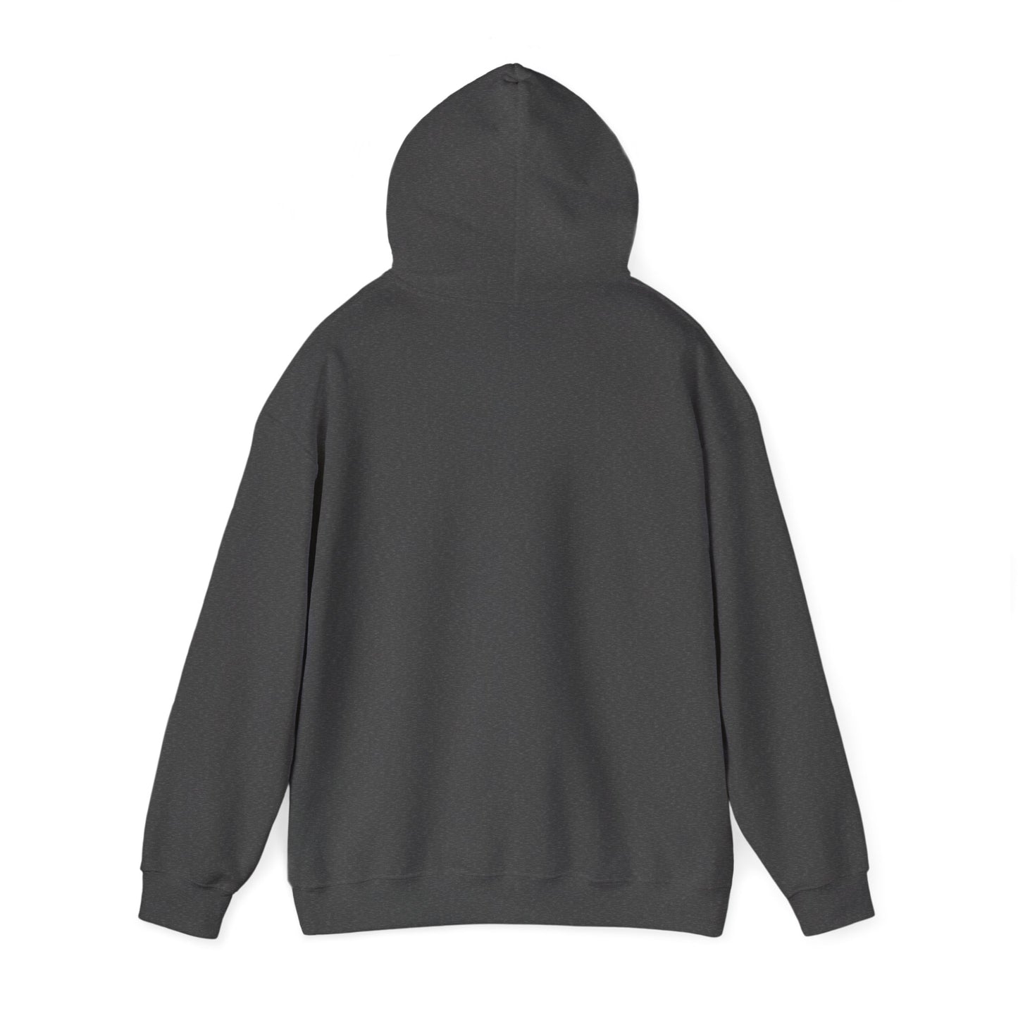 Jonathan Dickinson Hoodie Sweatshirt – Florida State Park Pullover Cozy Outdoor Souvenir