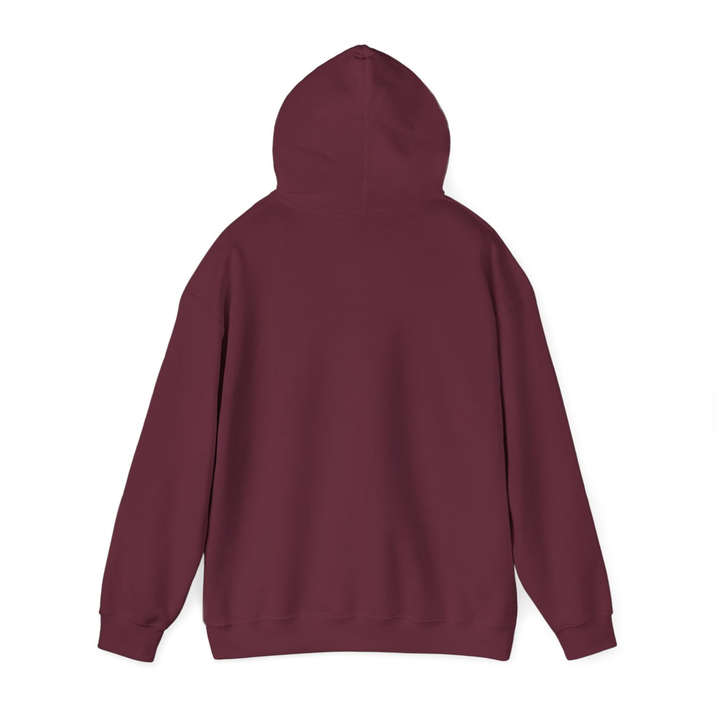 Jonathan Dickinson Hoodie Sweatshirt – Florida State Park Pullover Cozy Outdoor Souvenir