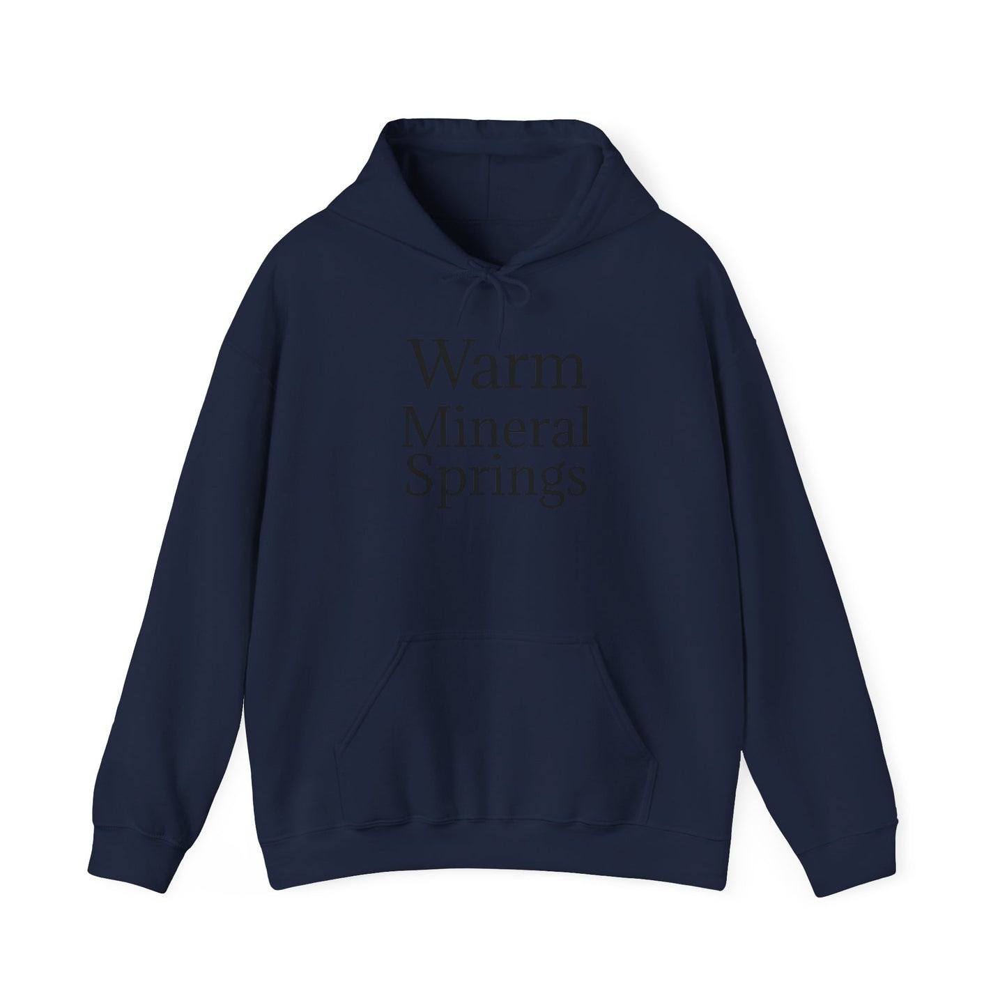 Classic Warm Mineral Springs Hoodie Sweatshirt – Cozy Florida Souvenir Apparel
