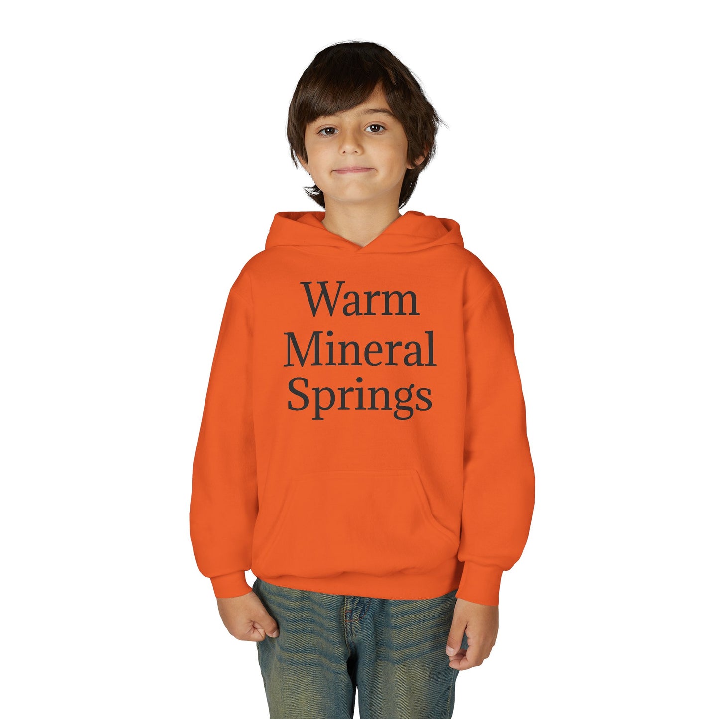 Kids Warm Mineral Springs Hoodie Sweatshirt – Cozy Florida Souvenir Apparel