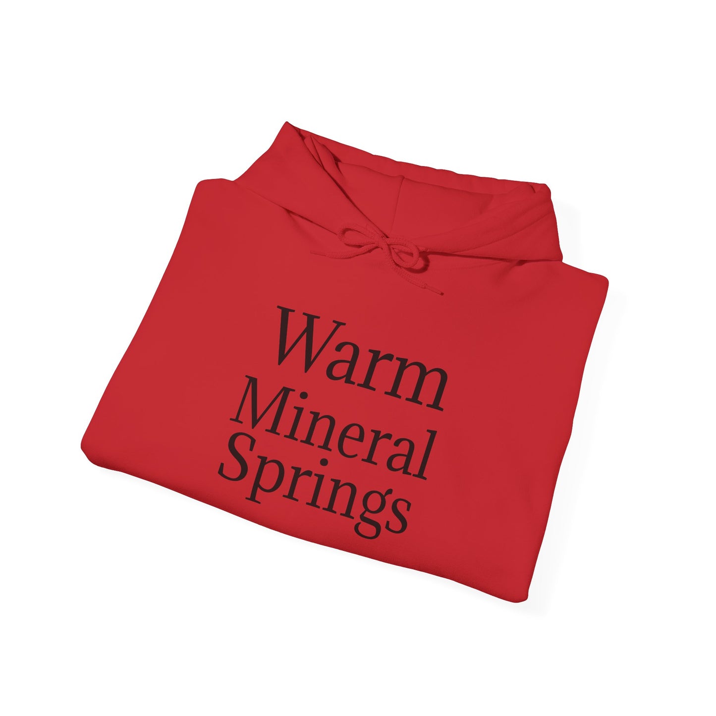 Classic Warm Mineral Springs Hoodie Sweatshirt – Cozy Florida Souvenir Apparel