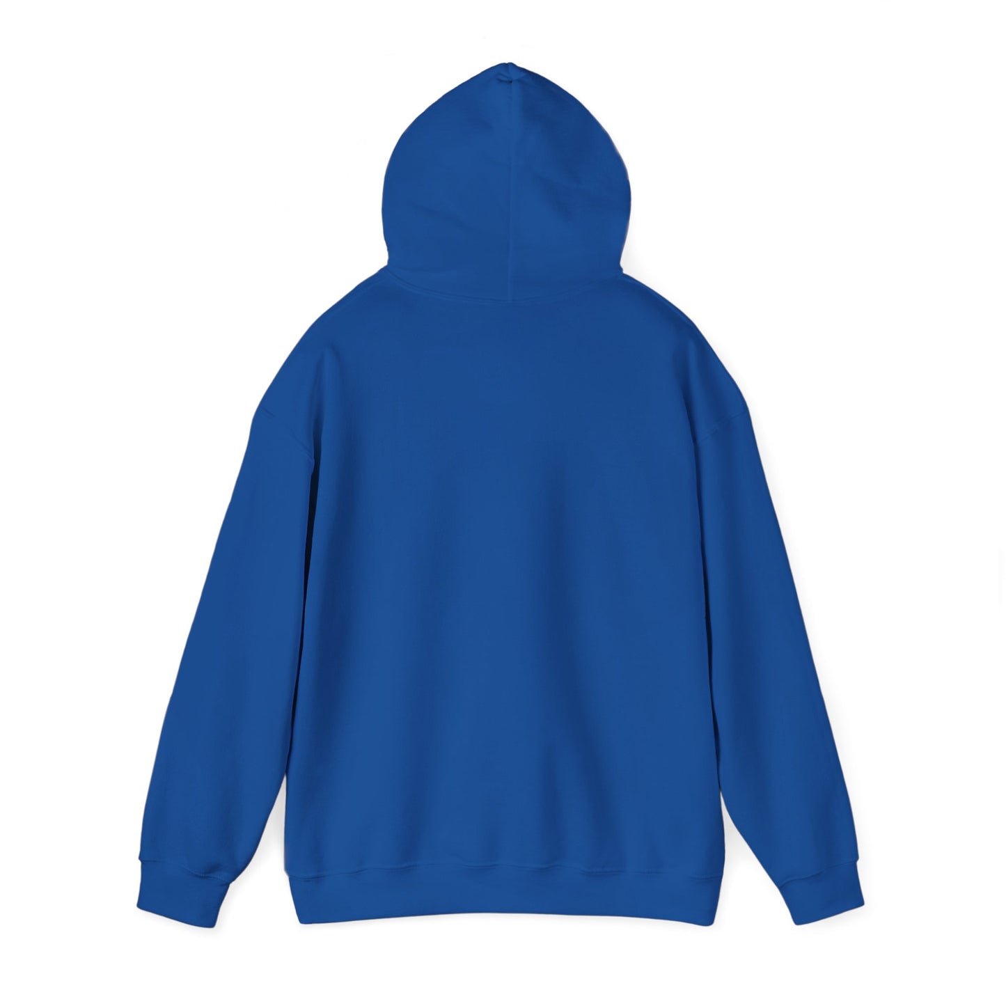 Classic Warm Mineral Springs Hoodie Sweatshirt – Cozy Florida Souvenir Apparel