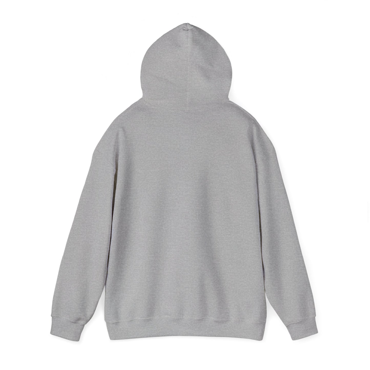 Jonathan Dickinson Hoodie Sweatshirt – Florida State Park Pullover Cozy Outdoor Souvenir