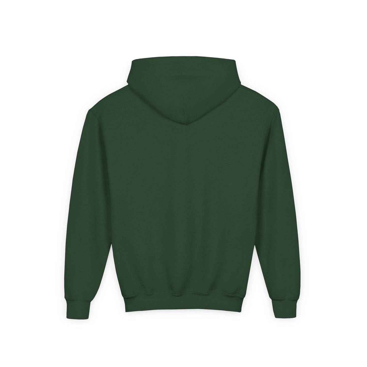 Kids Warm Mineral Springs Hoodie Sweatshirt – Cozy Florida Souvenir Apparel