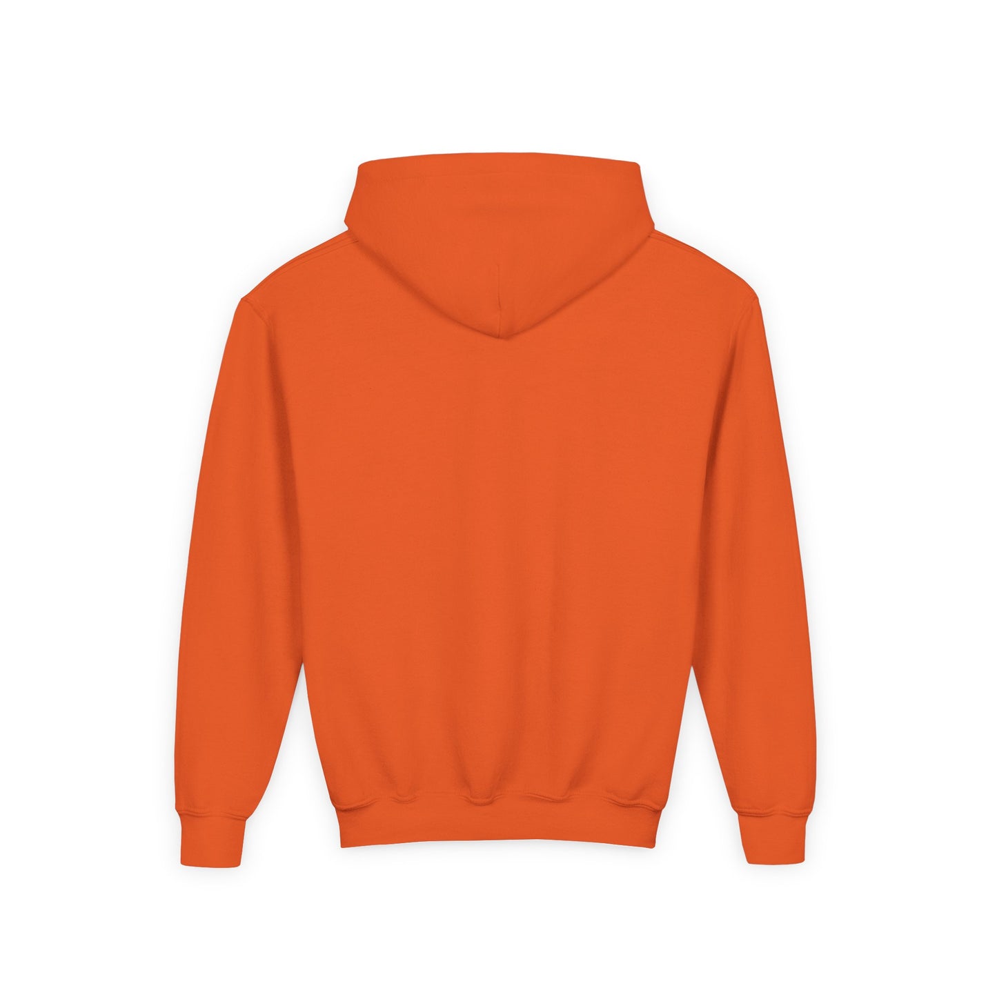 Kids Warm Mineral Springs Hoodie Sweatshirt – Cozy Florida Souvenir Apparel