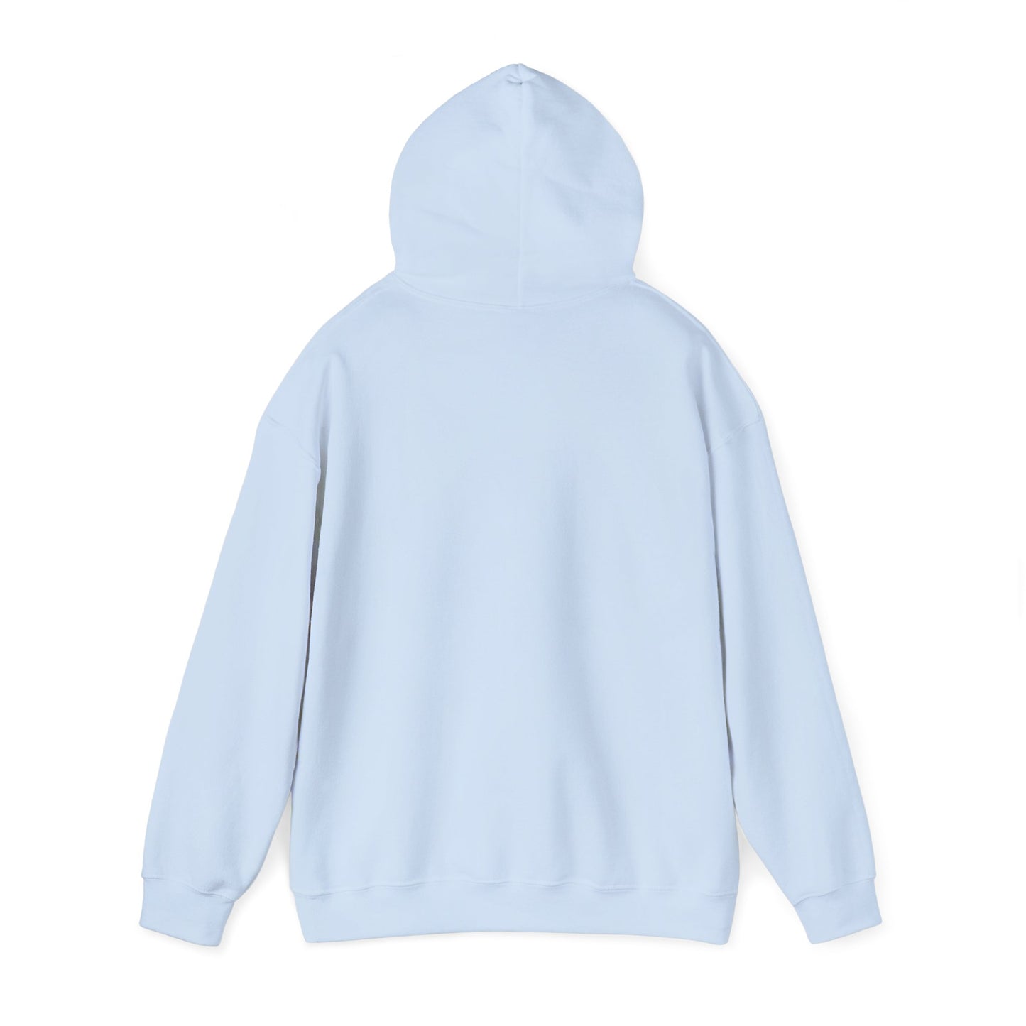 Jonathan Dickinson Hoodie Sweatshirt – Florida State Park Pullover Cozy Outdoor Souvenir