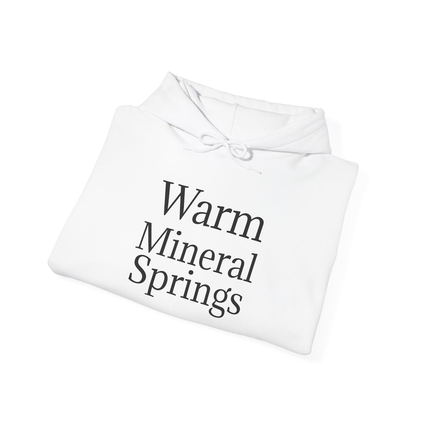Classic Warm Mineral Springs Hoodie Sweatshirt – Cozy Florida Souvenir Apparel