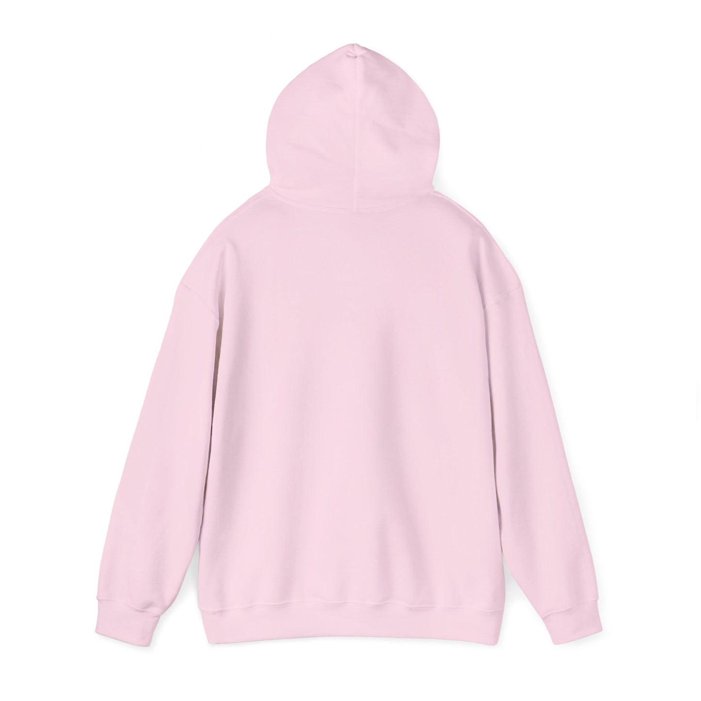 Jonathan Dickinson Hoodie Sweatshirt – Florida State Park Pullover Cozy Outdoor Souvenir