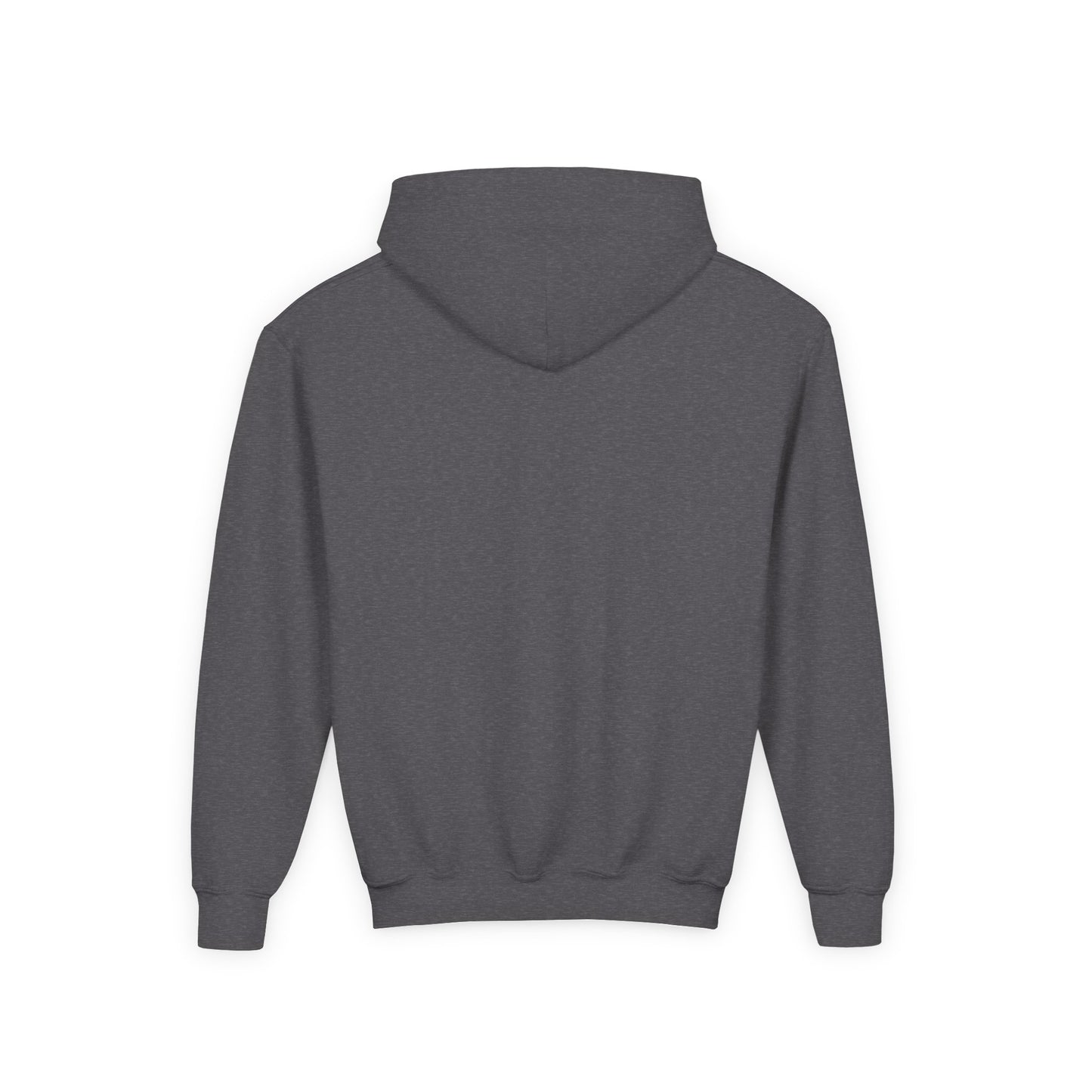 Kids Warm Mineral Springs Hoodie Sweatshirt – Cozy Florida Souvenir Apparel