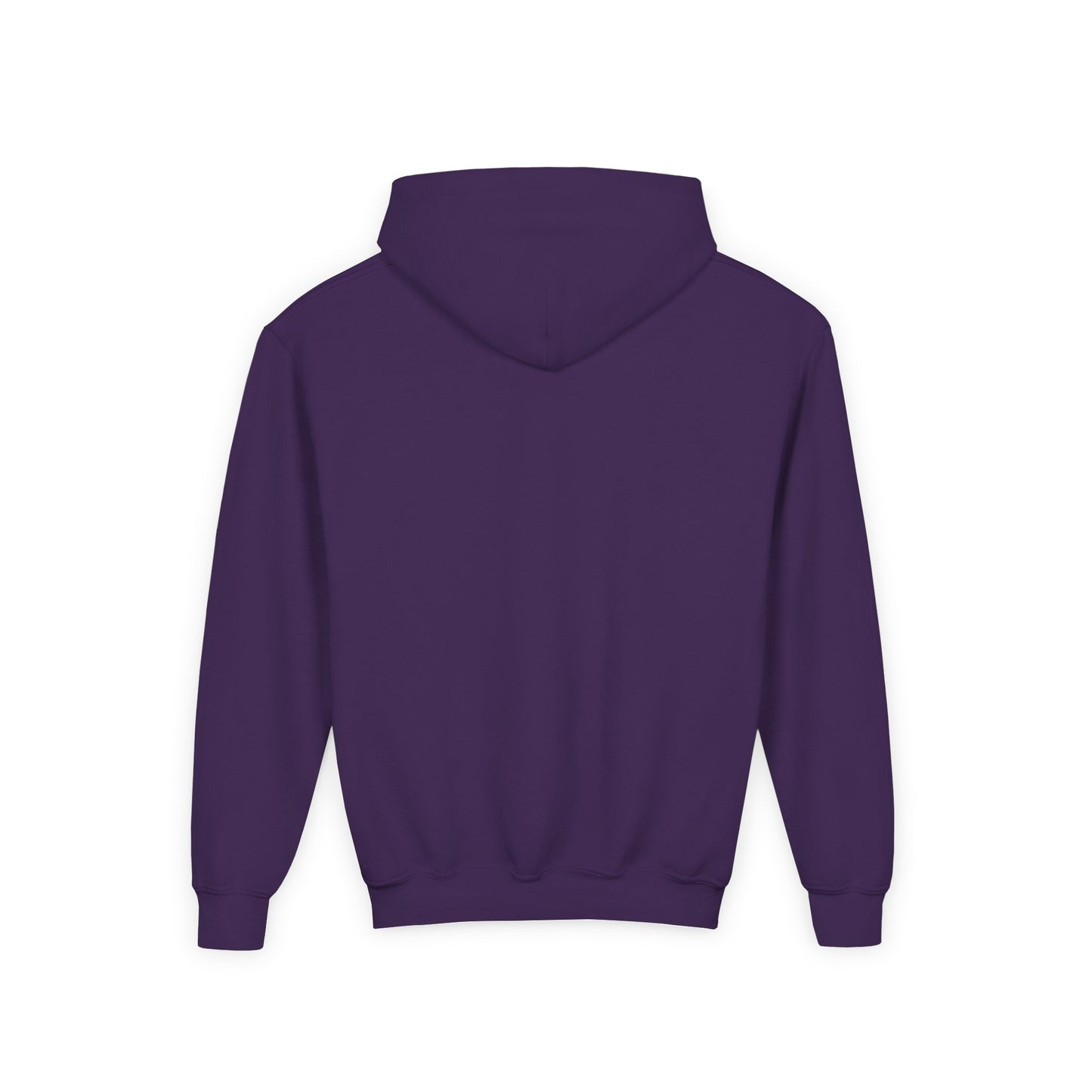 Kids Warm Mineral Springs Hoodie Sweatshirt – Cozy Florida Souvenir Apparel