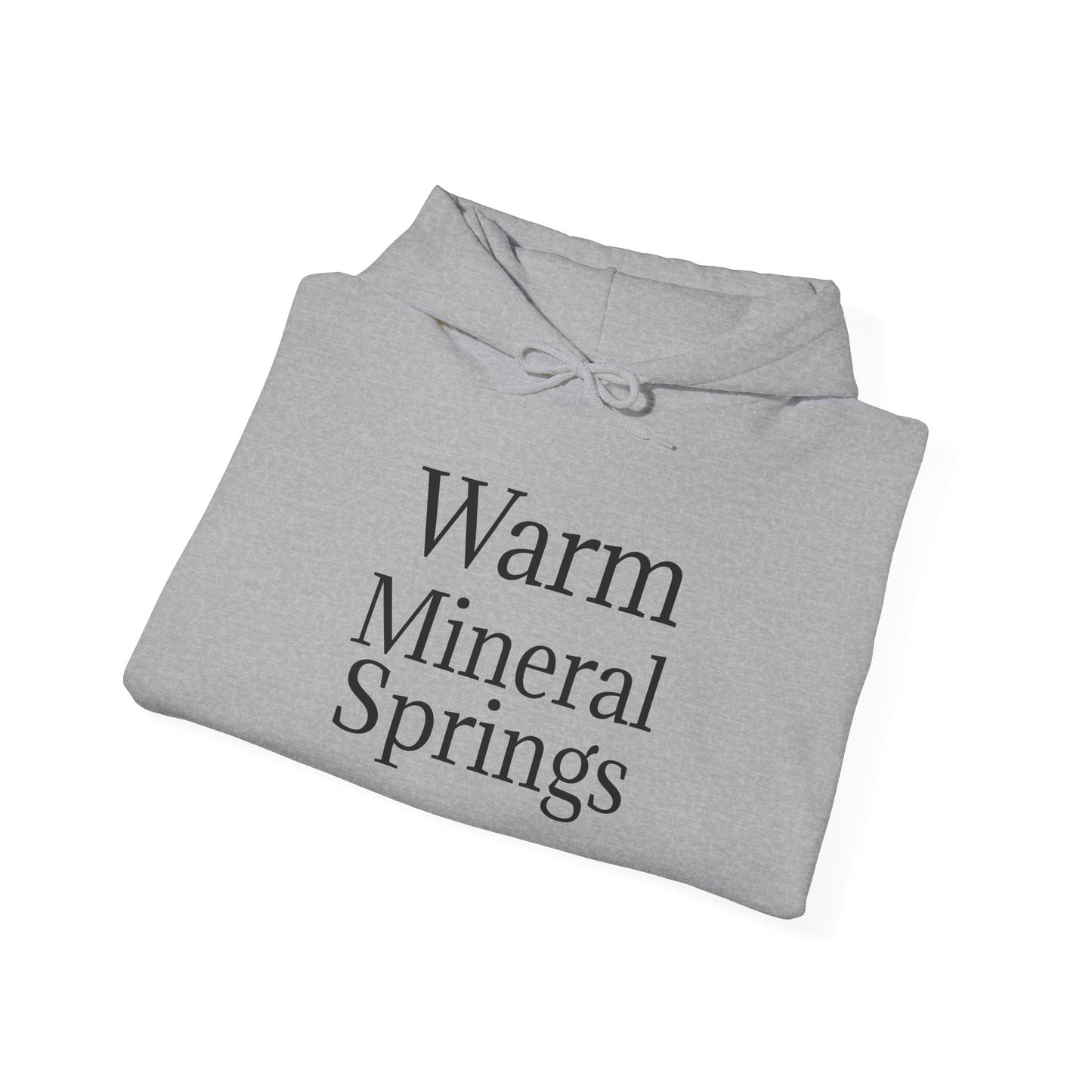 Classic Warm Mineral Springs Hoodie Sweatshirt – Cozy Florida Souvenir Apparel