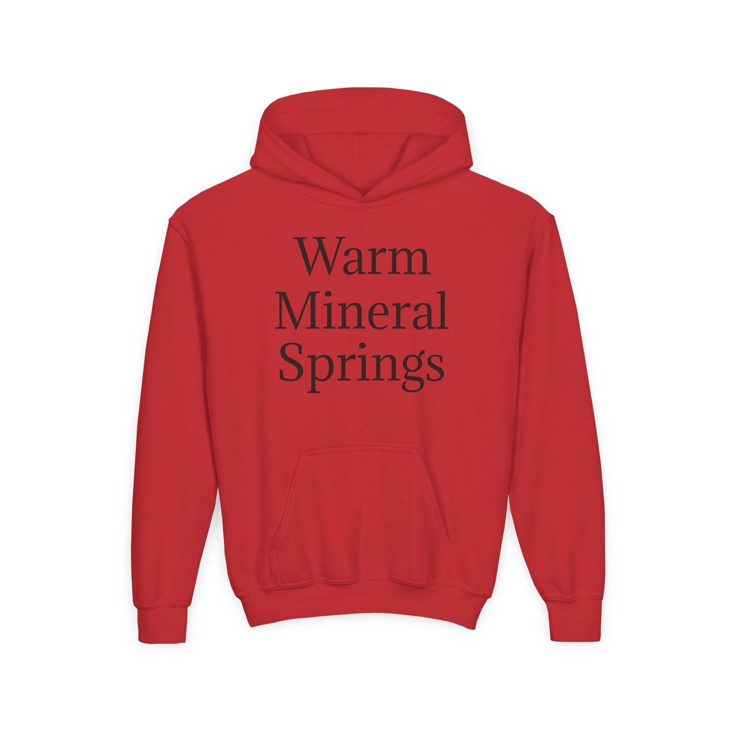 Kids Warm Mineral Springs Hoodie Sweatshirt – Cozy Florida Souvenir Apparel