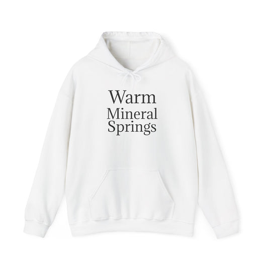 Classic Warm Mineral Springs Hoodie Sweatshirt – Cozy Florida Souvenir Apparel