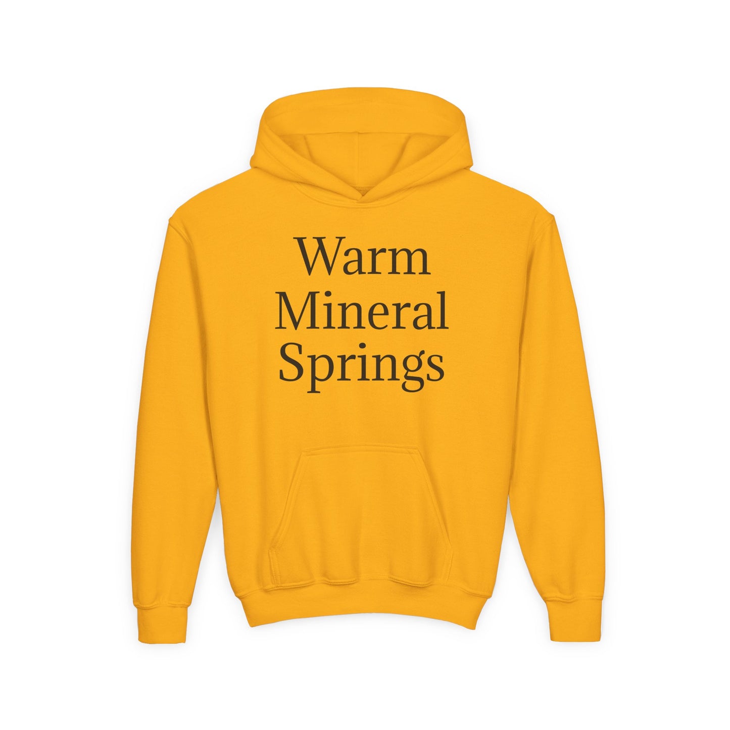 Kids Warm Mineral Springs Hoodie Sweatshirt – Cozy Florida Souvenir Apparel
