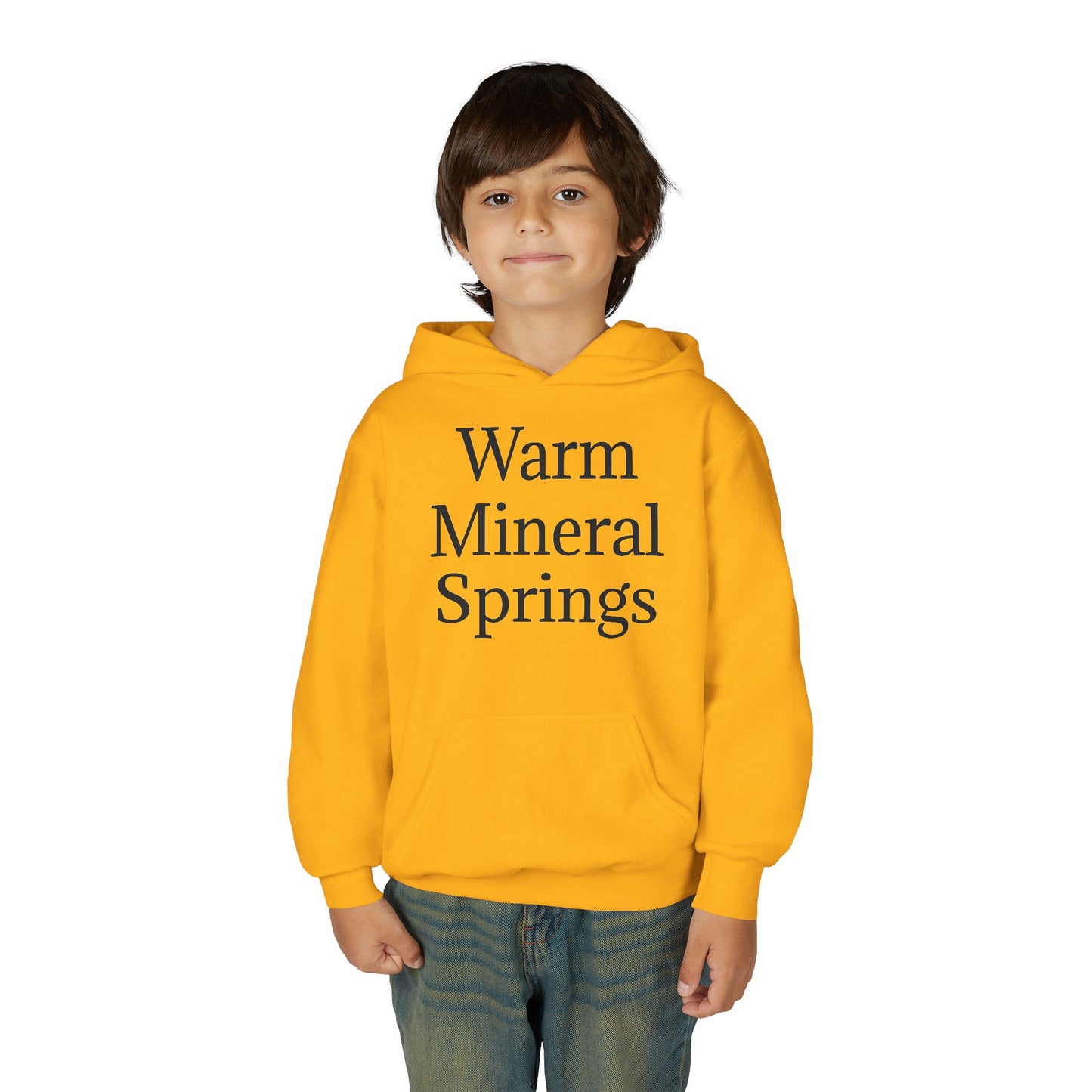 Kids Warm Mineral Springs Hoodie Sweatshirt – Cozy Florida Souvenir Apparel