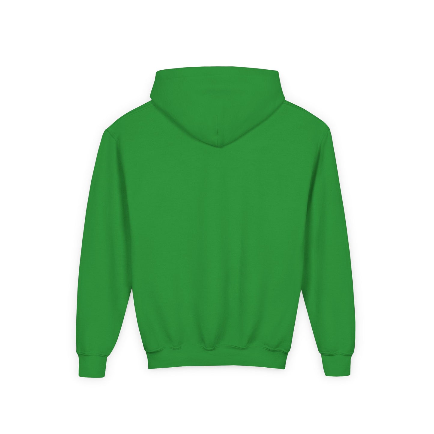 Kids Warm Mineral Springs Hoodie Sweatshirt – Cozy Florida Souvenir Apparel