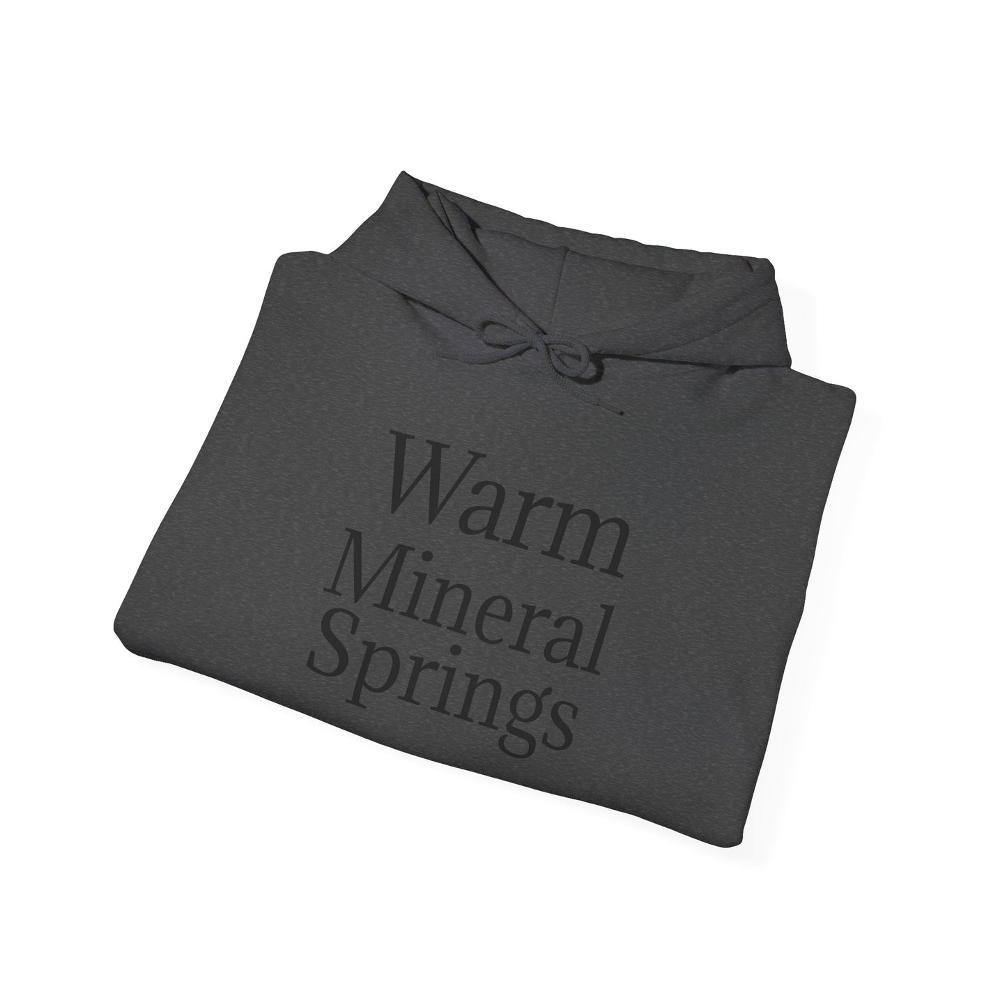 Classic Warm Mineral Springs Hoodie Sweatshirt – Cozy Florida Souvenir Apparel
