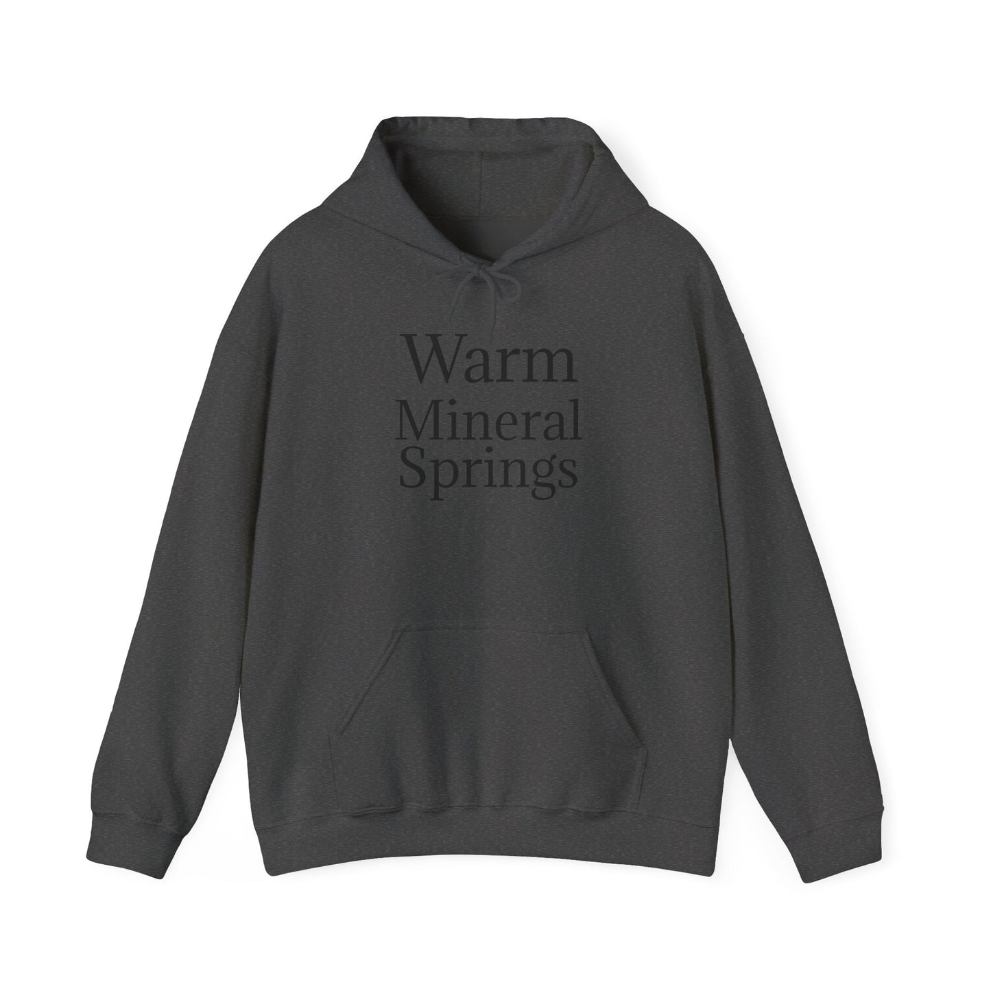 Classic Warm Mineral Springs Hoodie Sweatshirt – Cozy Florida Souvenir Apparel