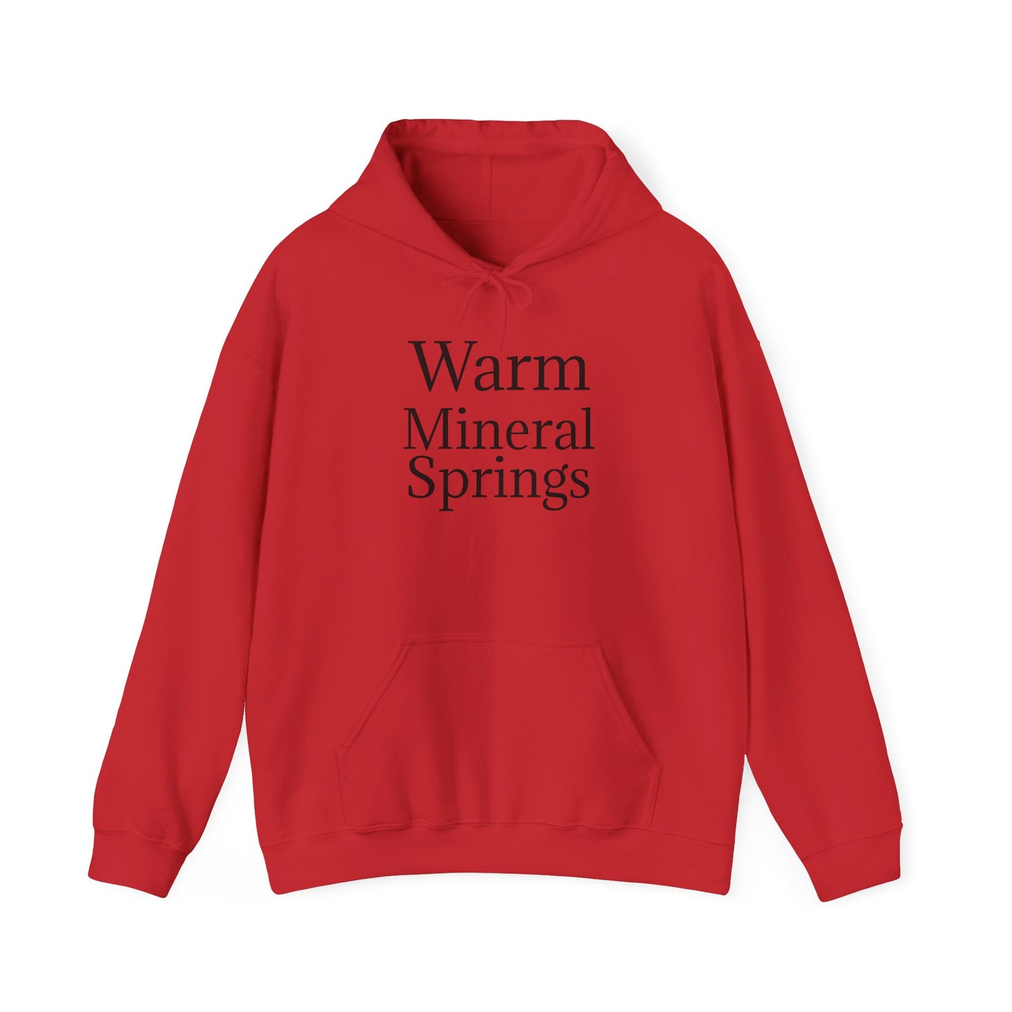 Classic Warm Mineral Springs Hoodie Sweatshirt – Cozy Florida Souvenir Apparel